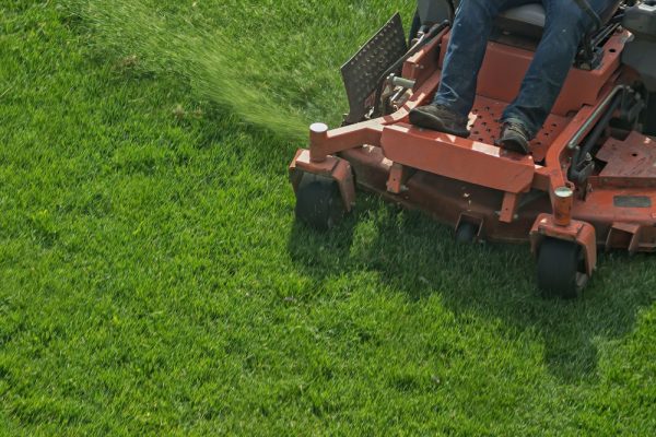 Shutterstock_1245510925