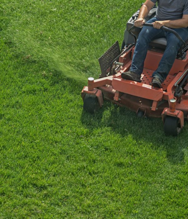 Shutterstock_1245510925