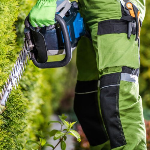 Professional,Caucasian,Gardener,With,Pro,Gasoline,Hedge,Trimmer,Doing,His