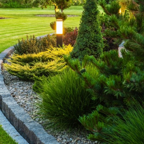 Landscaped,Garden,At,The,Backyard,With,Evenly,Mowed,Lawn,And